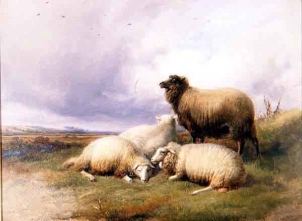 Lampaat maisemassa tekijältä Thomas Sidney Cooper