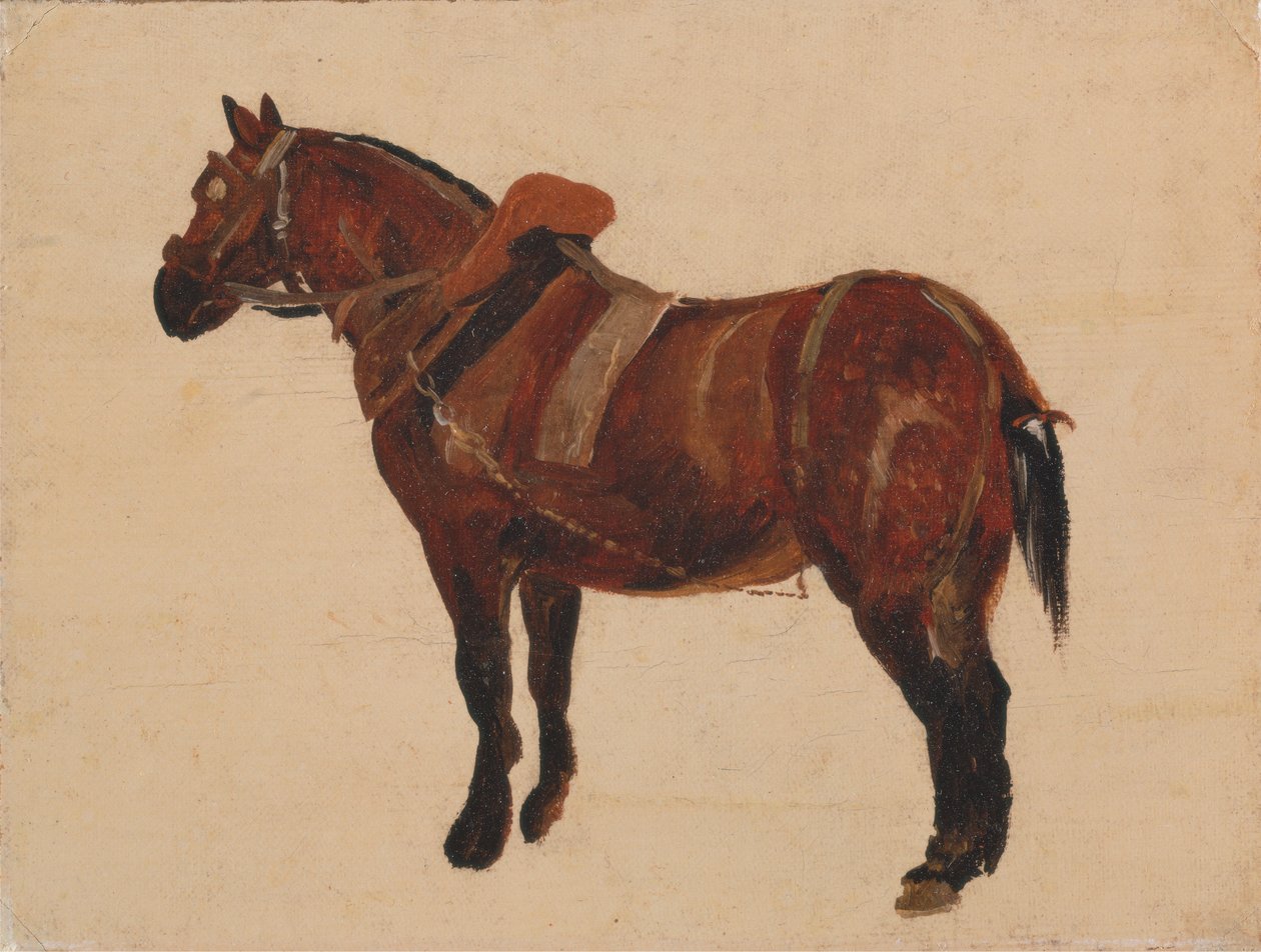 Työhevosen tutkimus tekijältä Thomas Sidney Cooper