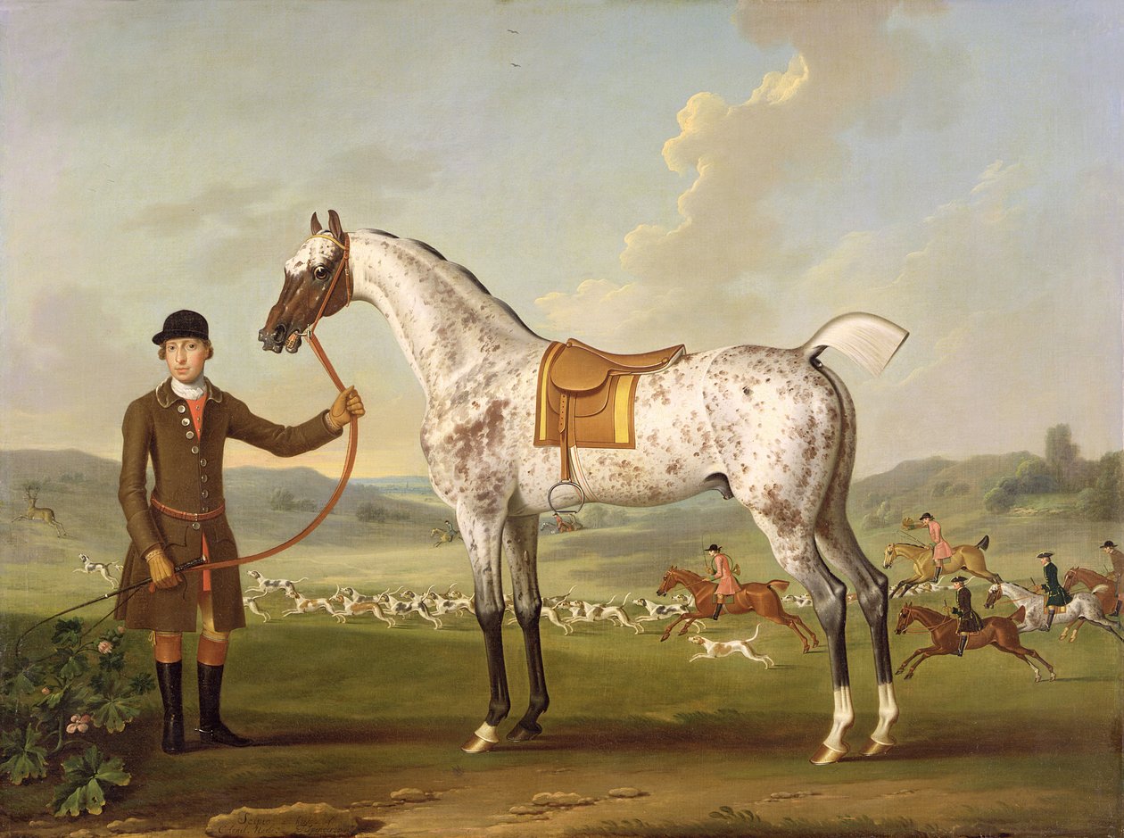 Scipio, eversti Rochen täplikäs metsästäjä, n. 1750 tekijältä Thomas Spencer