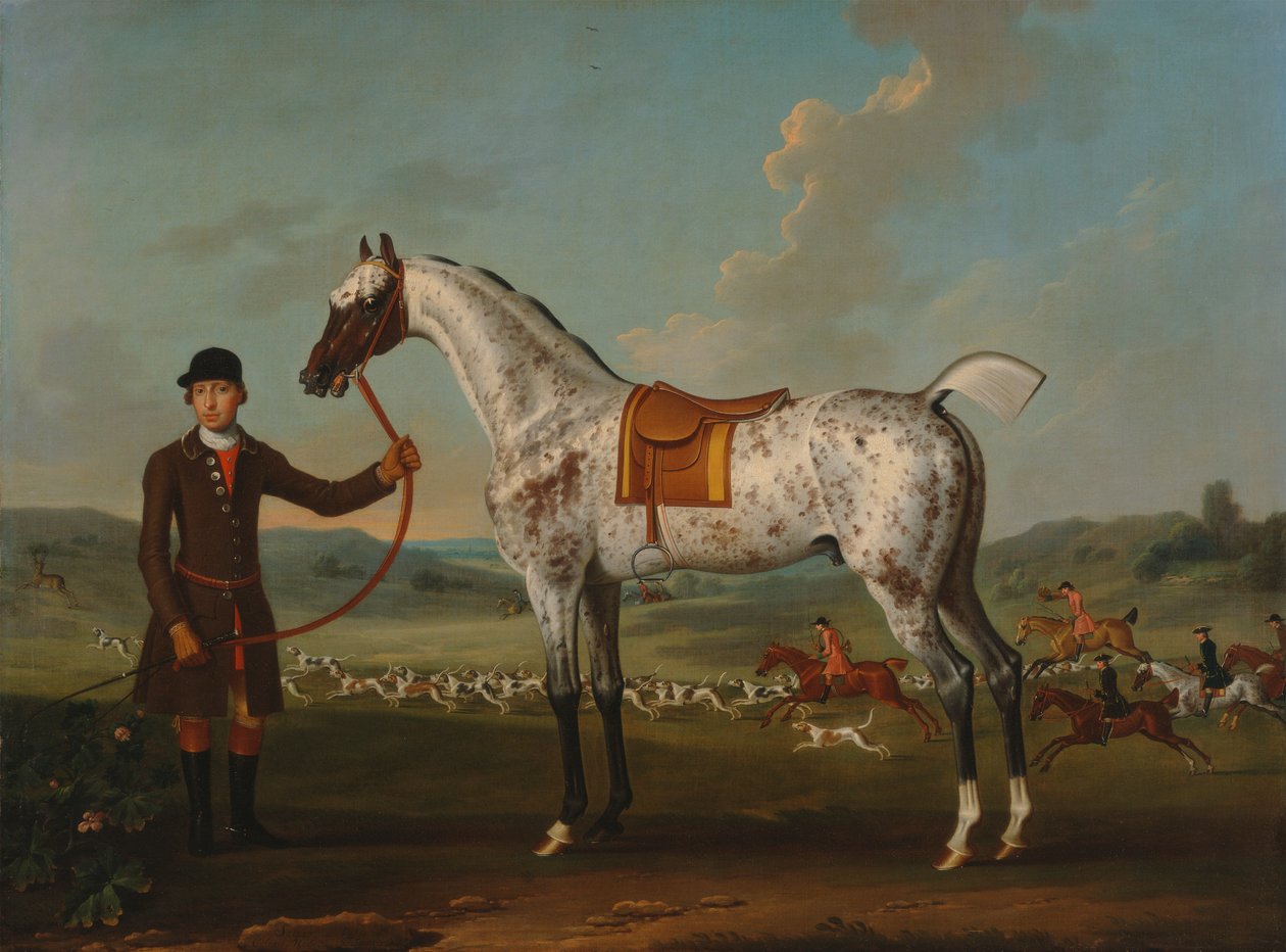 Scipio, täplikäs metsästäjä, eversti Rochen omaisuutta tekijältä Thomas Spencer