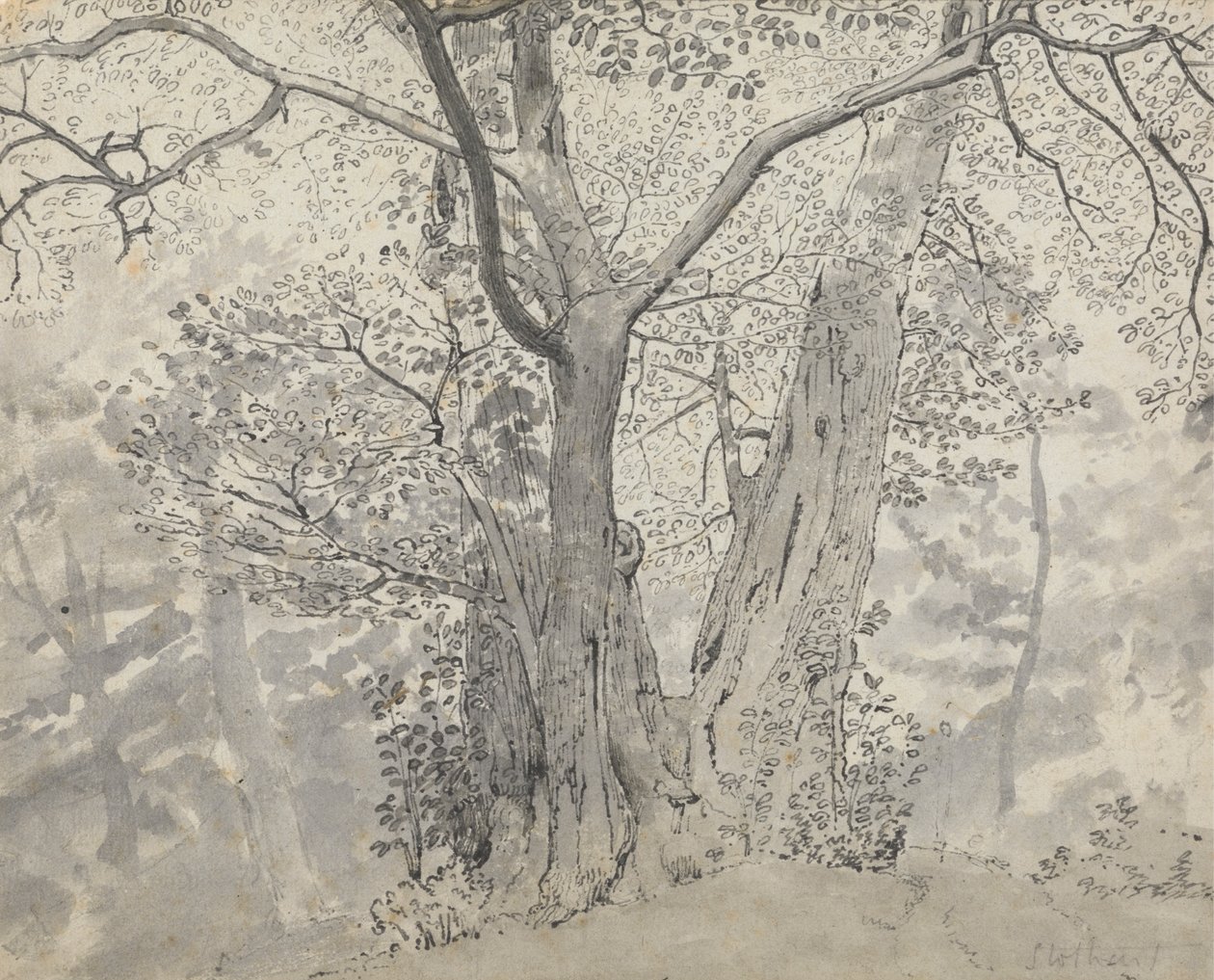 Puututkimus tekijältä Thomas Stothard