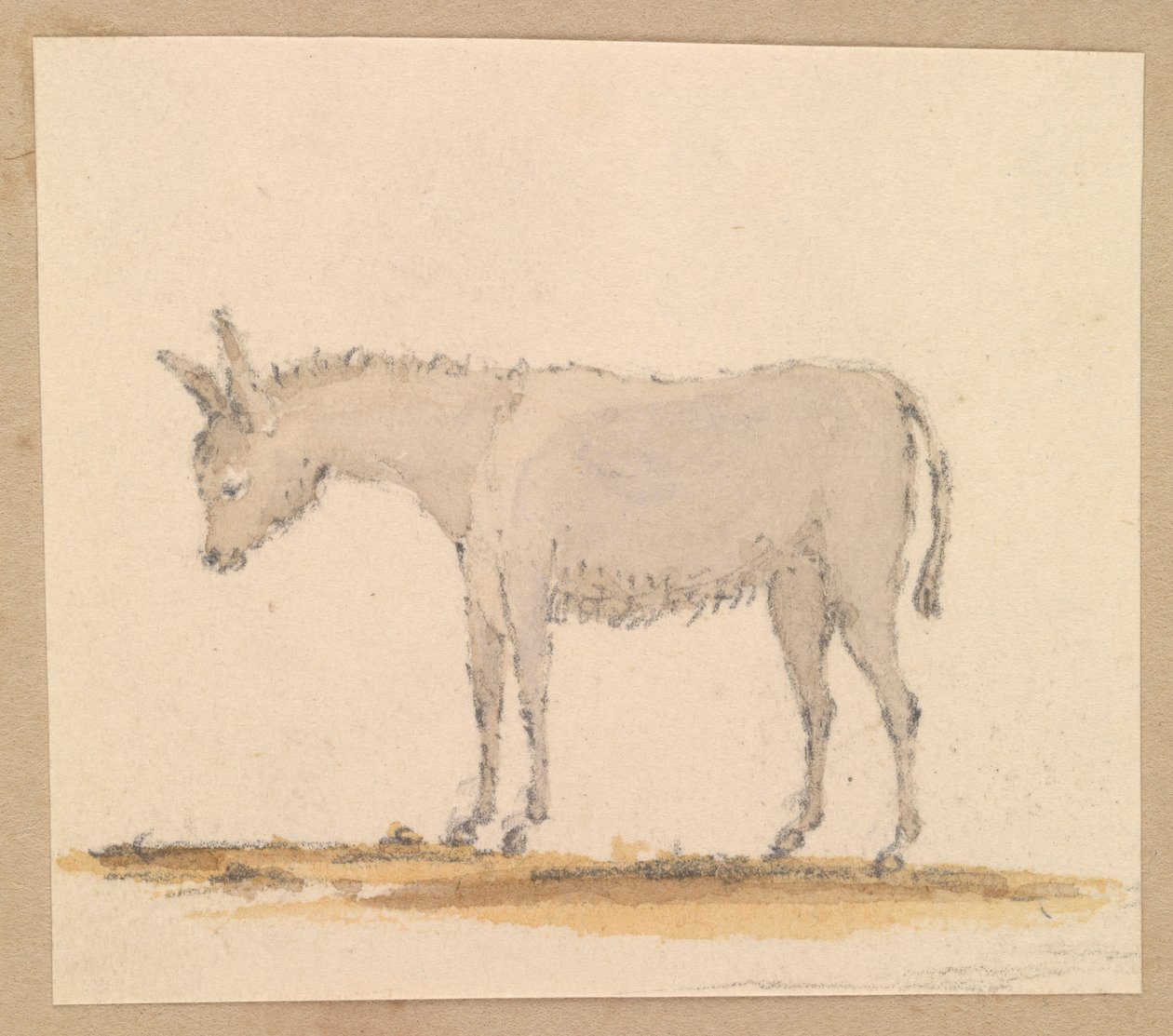 Aasitutkimus, noin 1820 (tussi, tussi, tussi, vesiväri). tekijältä Thomas Streatfeild