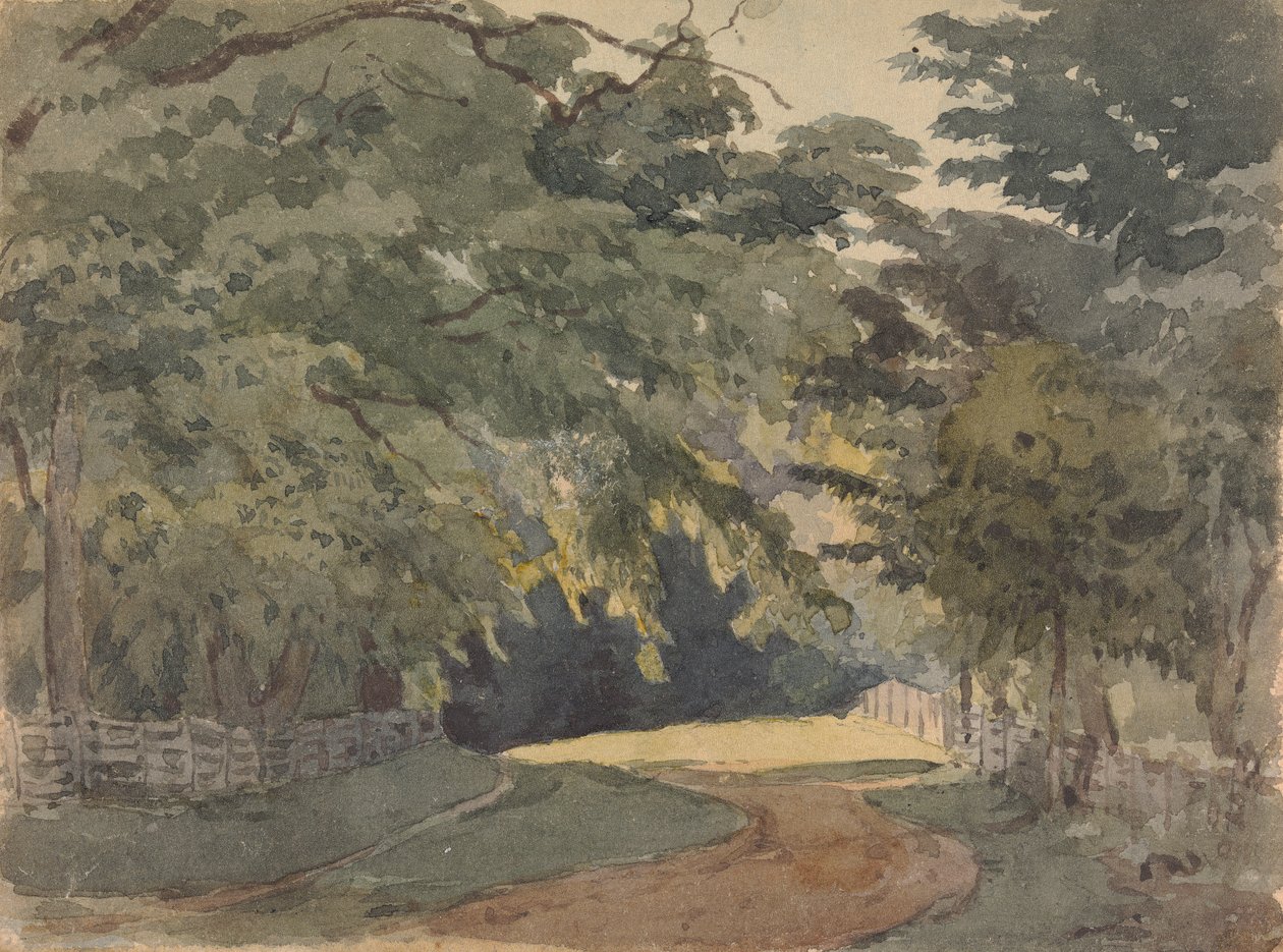 Puiden reunustama Lane tekijältä Thomas Sully