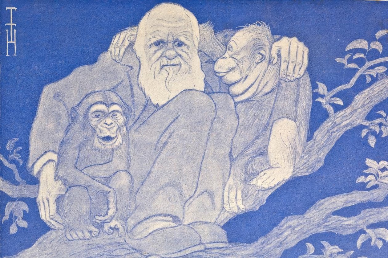 Vuoden 1909 sarjakuva Darwin apinoilla tekijältä Thomas Theodor Heine