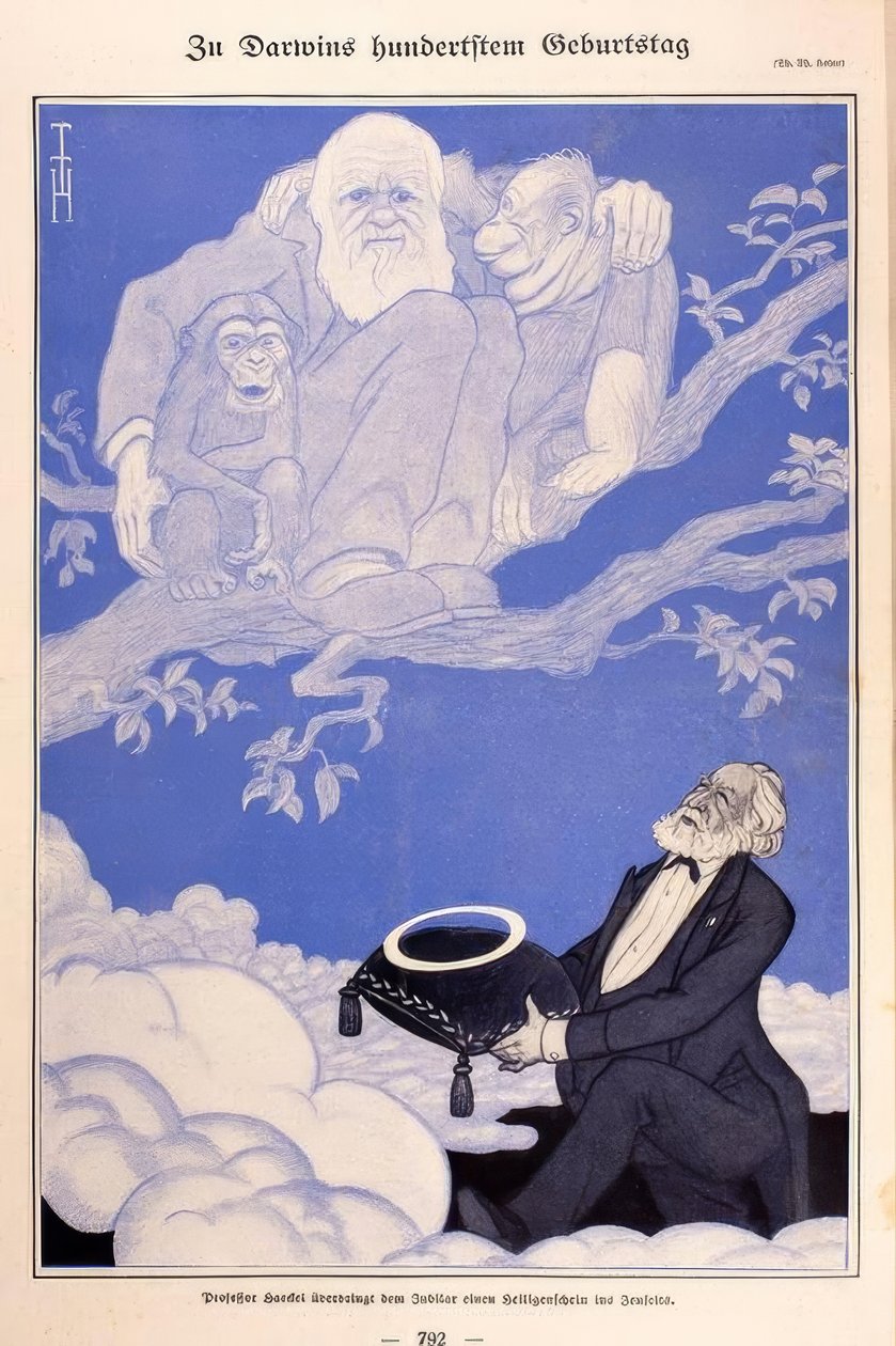 1909 karikatyyri Darwin, Apes, Haeckel tekijältä Thomas Theodor Heine