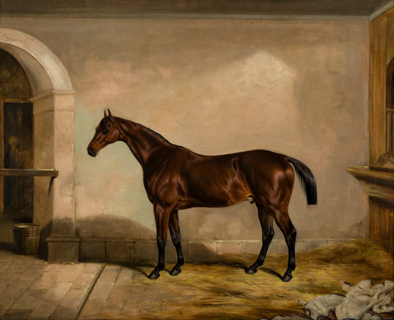 Teddy the Tiler: A Horse, n. 1842 (öljy kankaalle) tekijältä Thomas W. Bretland