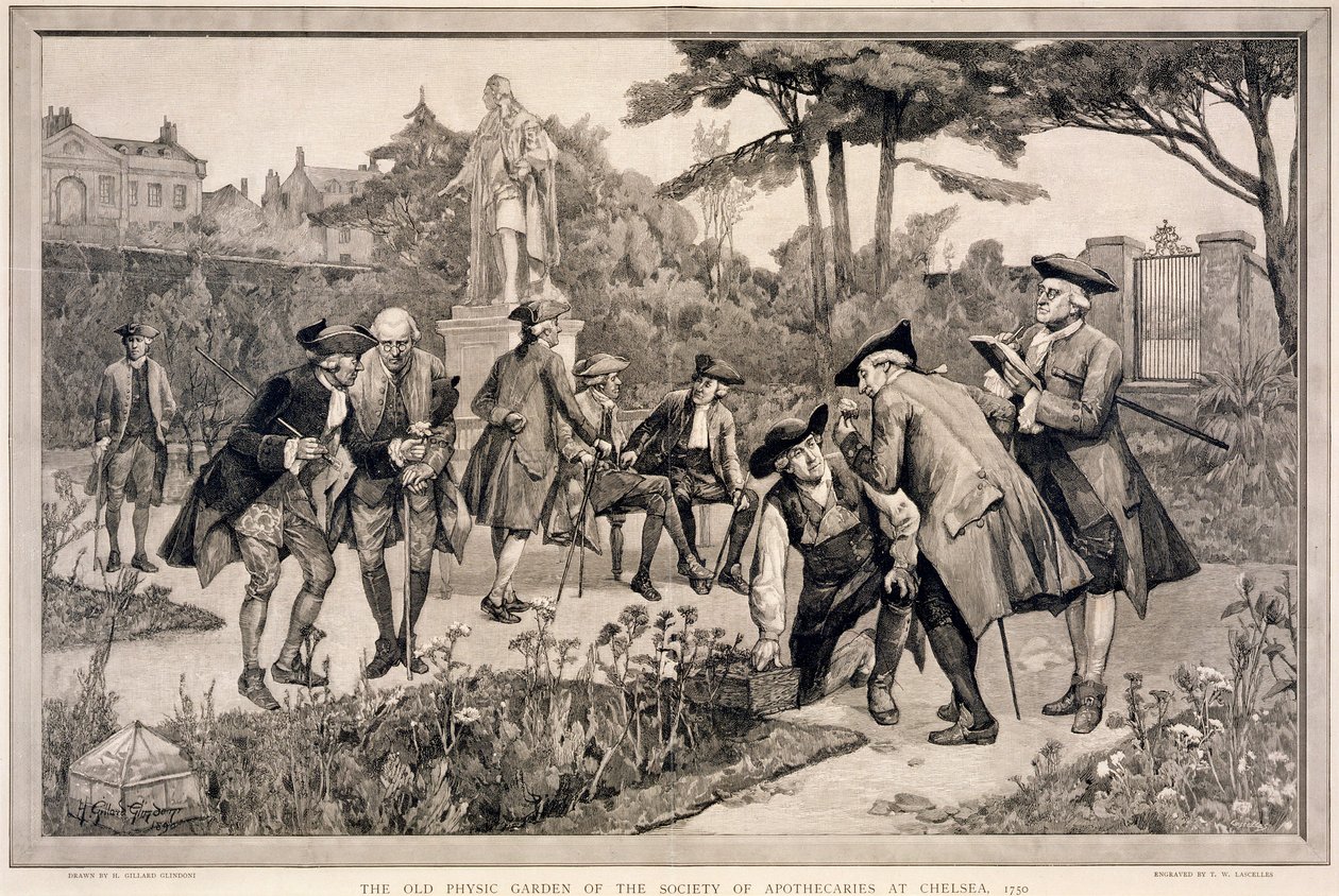 "The Old Physic Garden of the Society of Apothecaries at Chelsea, 1750", 1890 tekijältä Thomas W Lascelles