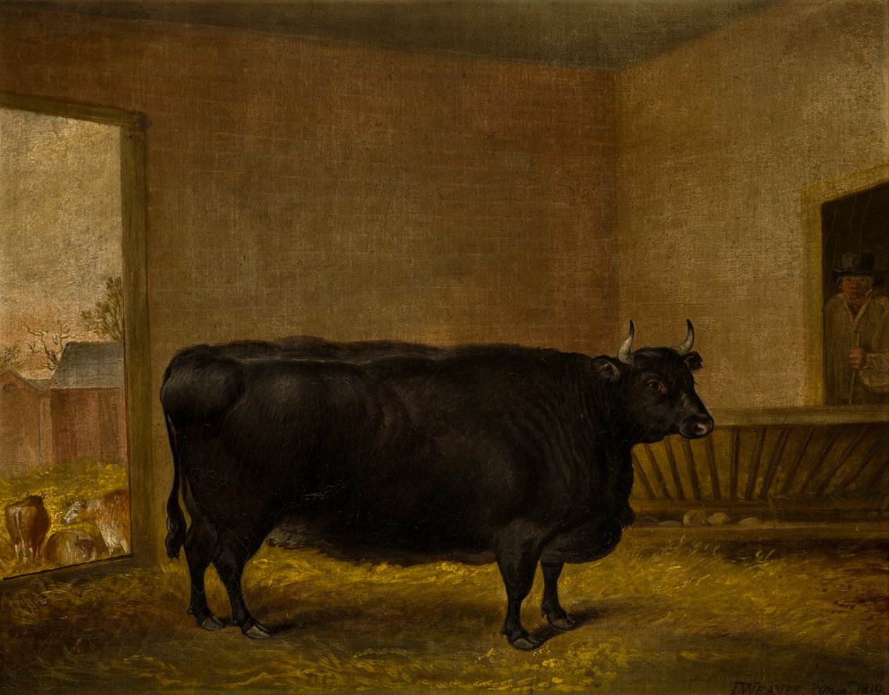 A Prize Bull: A Fat Kerry Cow, n. 1819 (öljy kankaalle) tekijältä Thomas Weaver