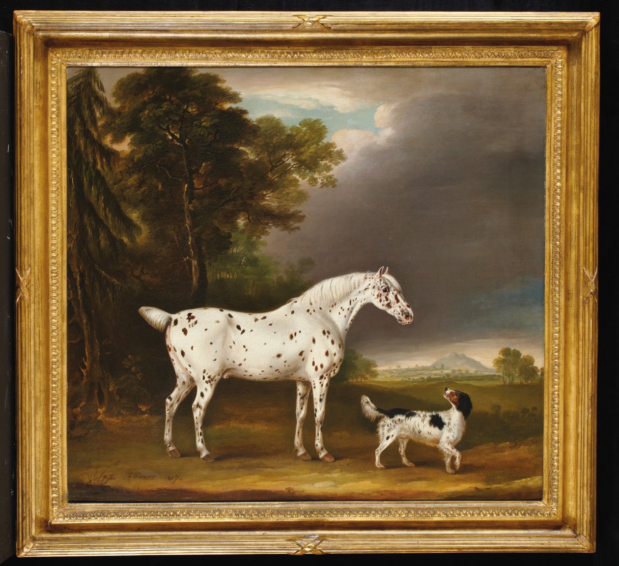 Appaloosa hevonen ja spanieli, 1807 tekijältä Thomas Weaver