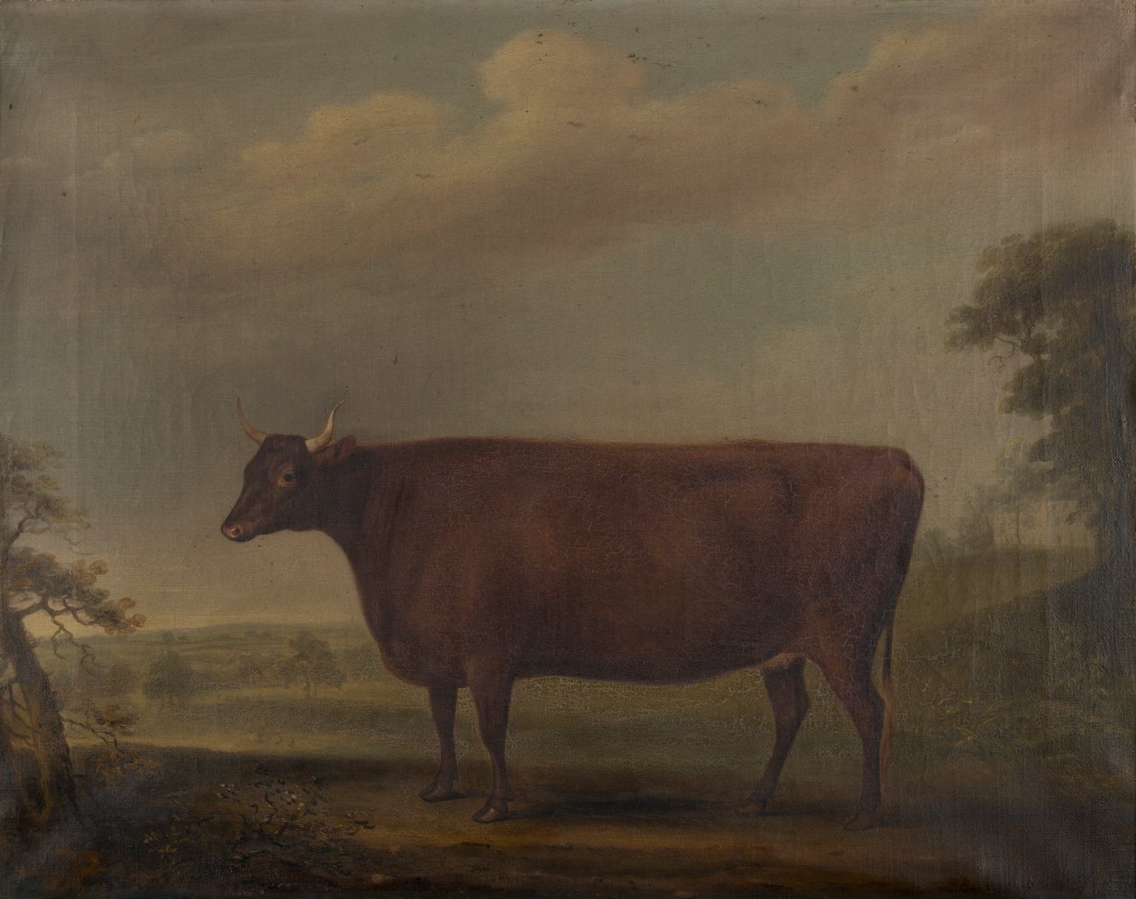 Punaiset devon-hiehot maisemassa, n. 1812 (öljy kankaalle) tekijältä Thomas Weaver