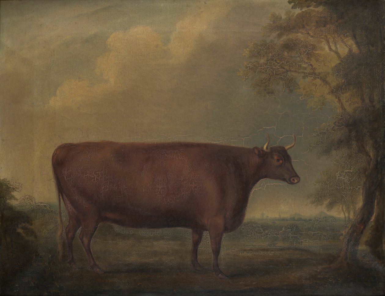 Punaiset devon-hiehot maisemassa, n. 1812 (öljy kankaalle) tekijältä Thomas Weaver