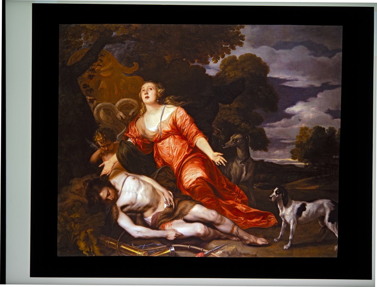 Adoniksen kuolema tekijältä Thomas Willeboirts Bosschaert