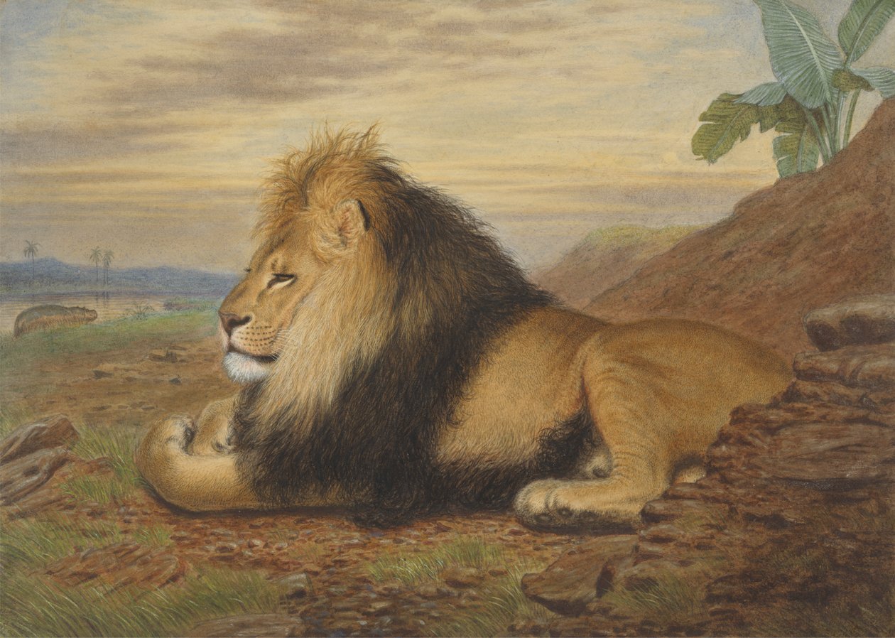 Leijona tekijältä Thomas William Wood