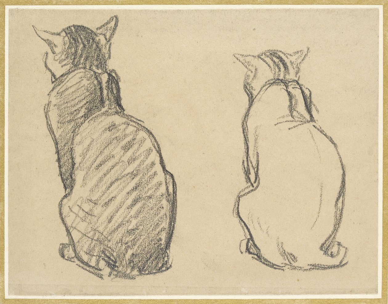 Kaksi tutkimusta kissasta (grafiitti värjäytyneelle kudospaperille) tekijältä Théophile Alexandre Steinlen