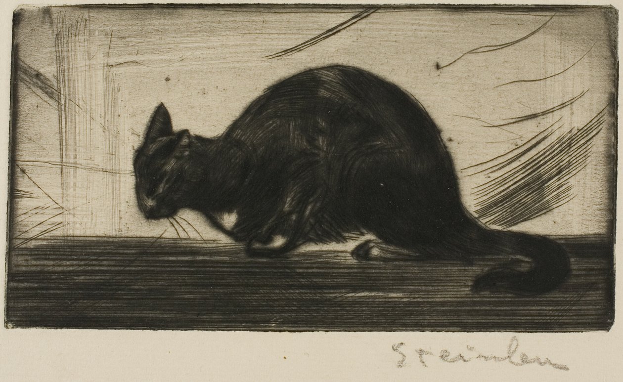 Kissa kaartaa selkänsä tekijältä Théophile Alexandre Pierre Steinlen