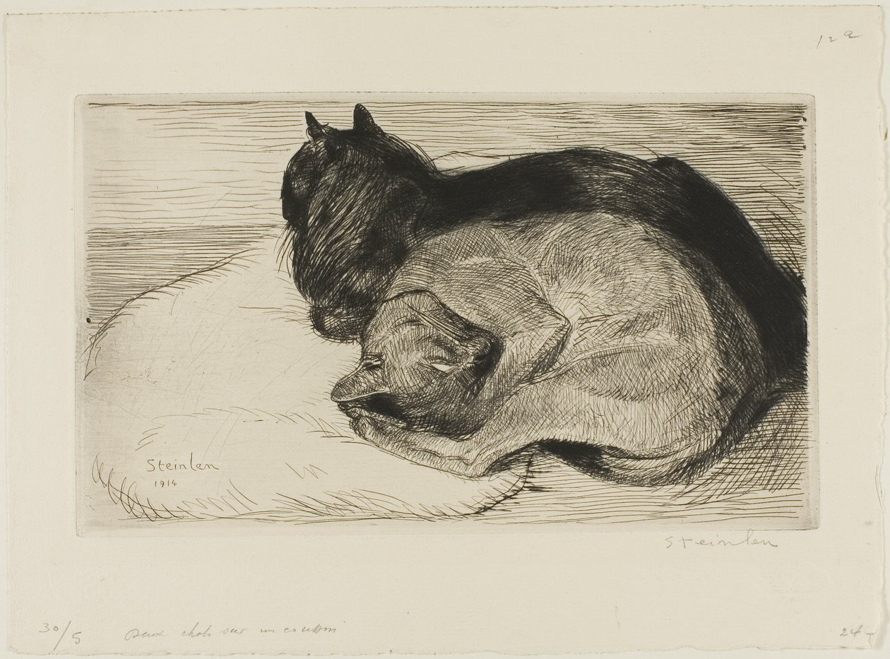 Kaksi kissaa tyynyllä tekijältä Théophile Alexandre Pierre Steinlen