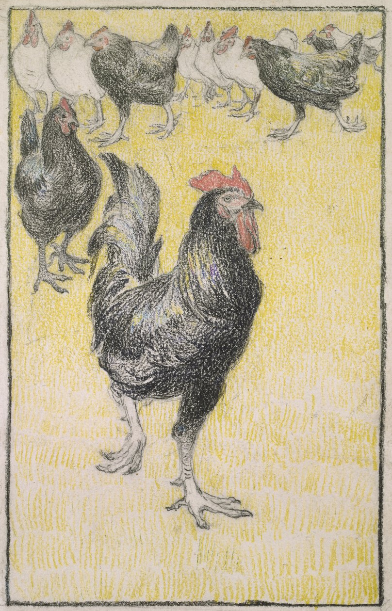 Kukko, jota seuraavat mustavalkoiset kanat (grafiittia mustalla ja värillisellä liidulla valkoisella paperilla, reunustettu mustalla liidulla) tekijältä Théophile Alexandre Steinlen