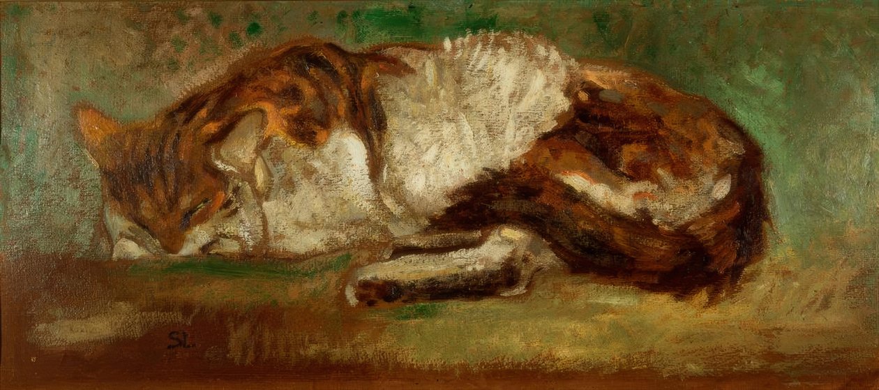 Th. A. Steinlen, Schlafende Katze tekijältä Théophile Alexandre Steinlen