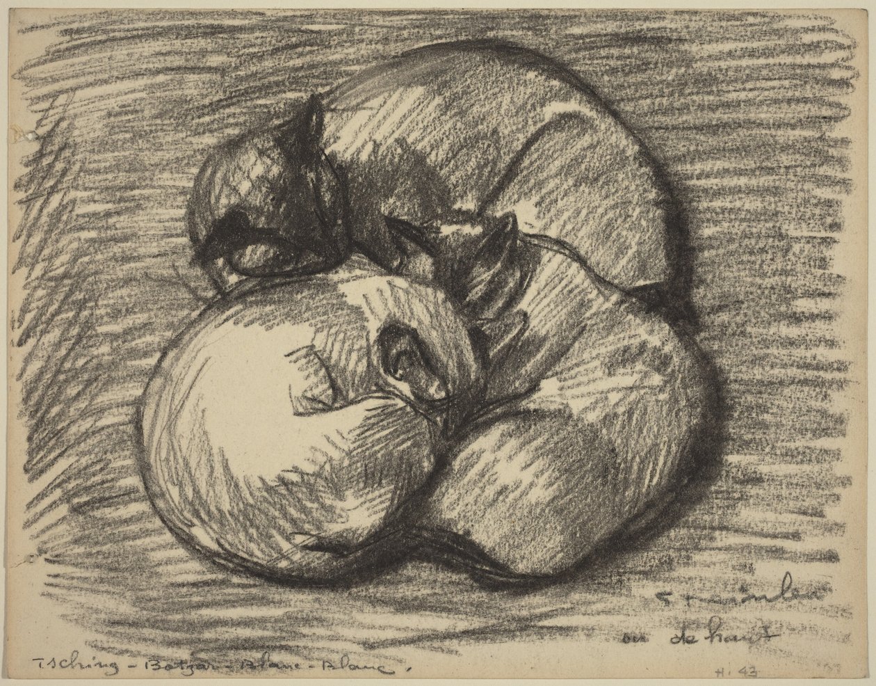 Kissat: Tsching, Batzar ja Blanc-Blanc tekijältä Théophile Alexandre Steinlen