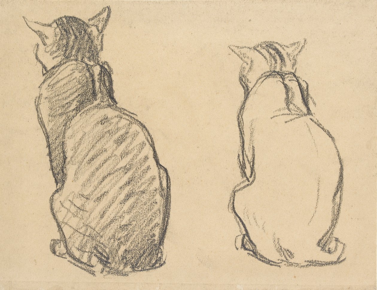 Kaksi tutkimusta kissasta, 1900-luvun alku tekijältä Théophile Alexandre Steinlen