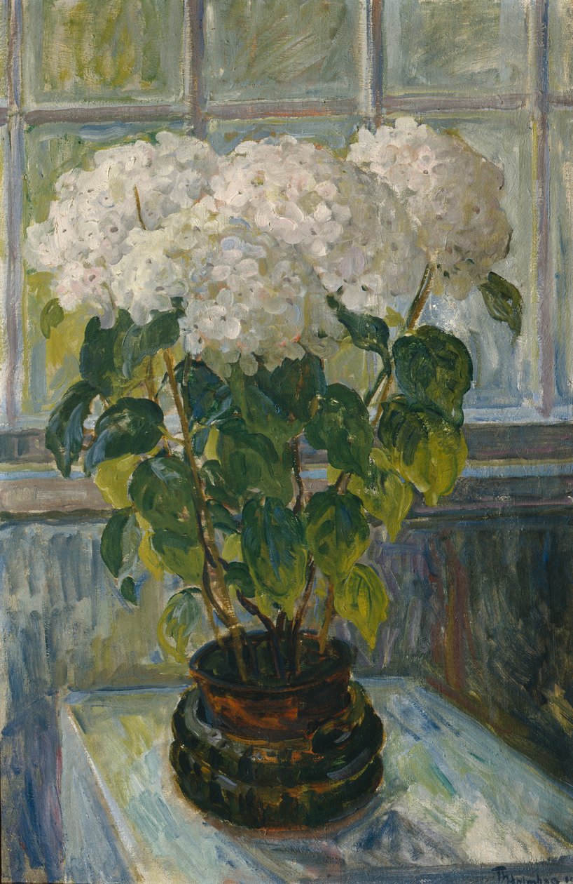 Hortensia tekijältä Thorolf Holmboe