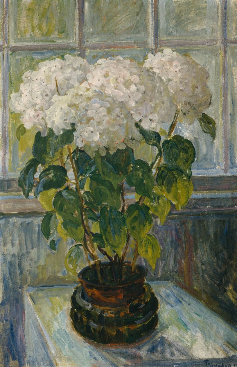 Hortensia tekijältä Thorolf Holmboe