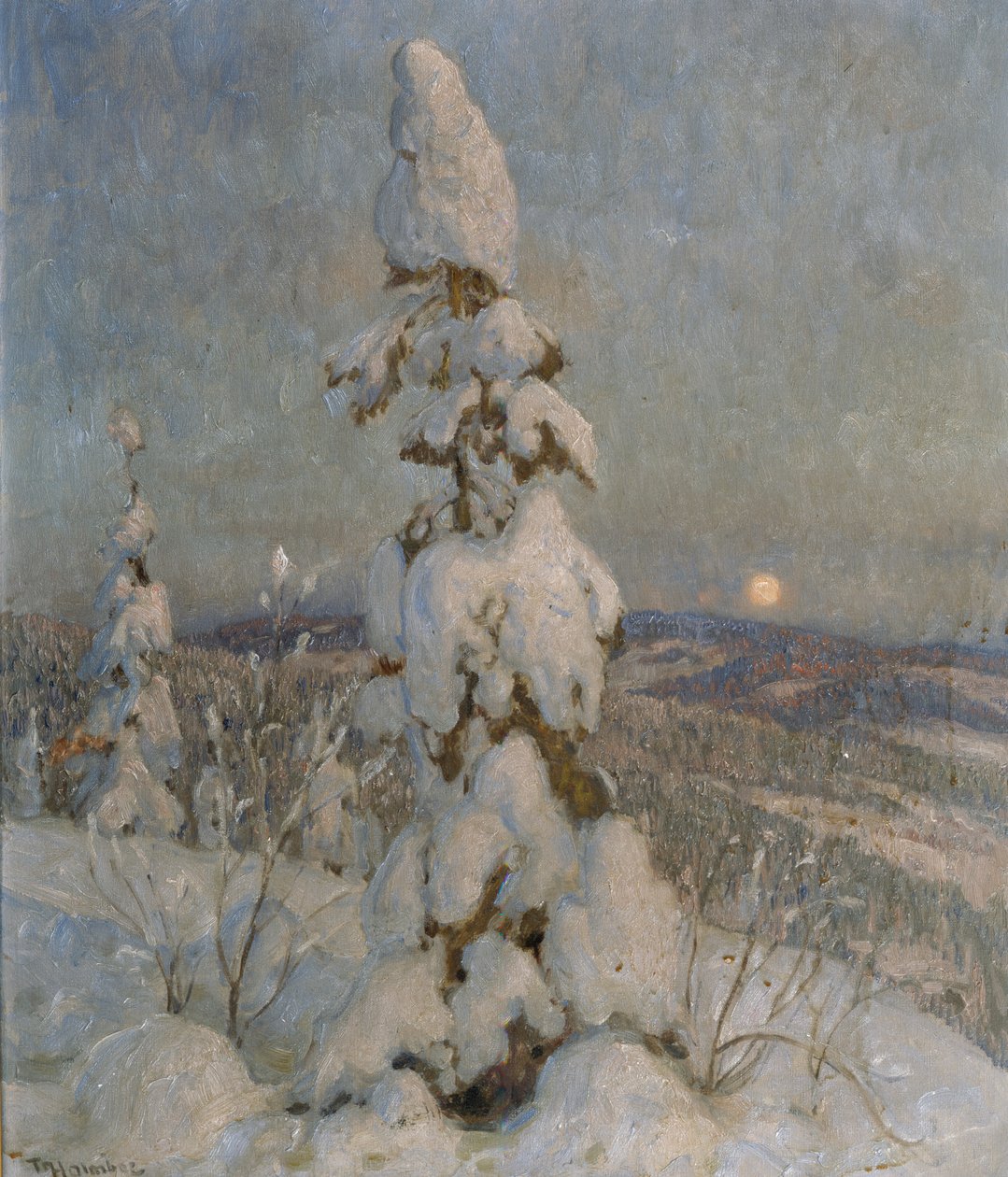 Lumipeitteinen kuusi kuutamossa (öljy kankaalle) tekijältä Thorolf Holmboe