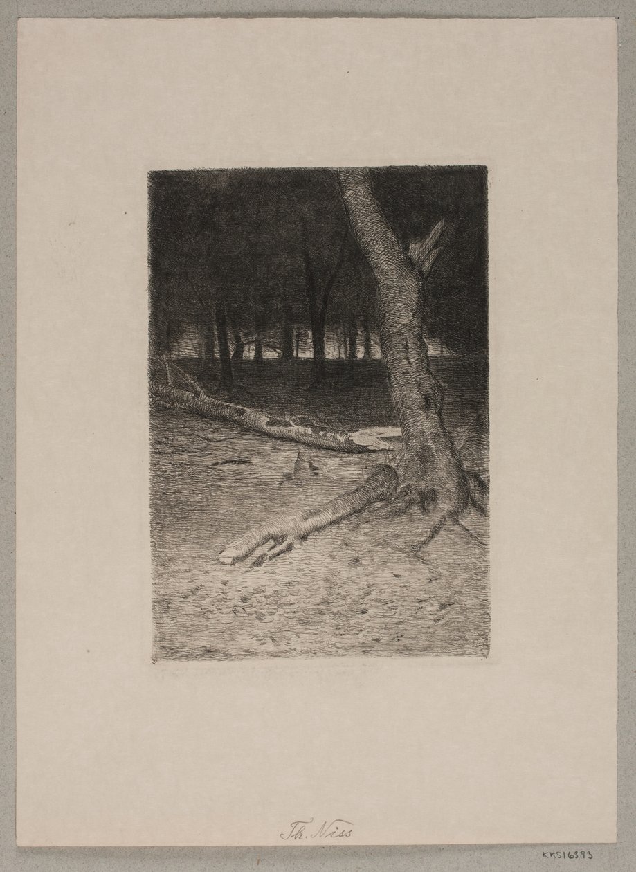 Metsän sisustus. Ilta tekijältä Thorvald Niss
