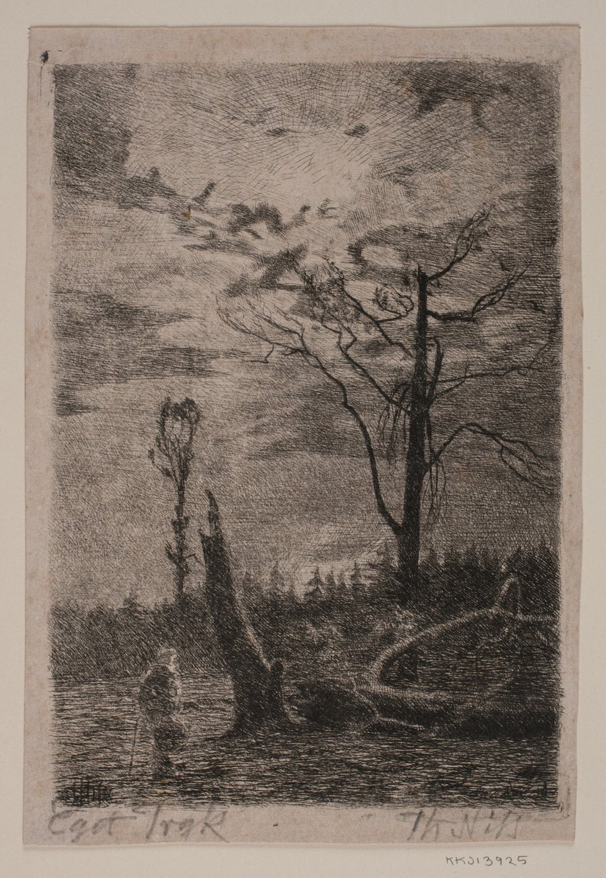 Metsien hävittäminen. Ilta tekijältä Thorvald Niss