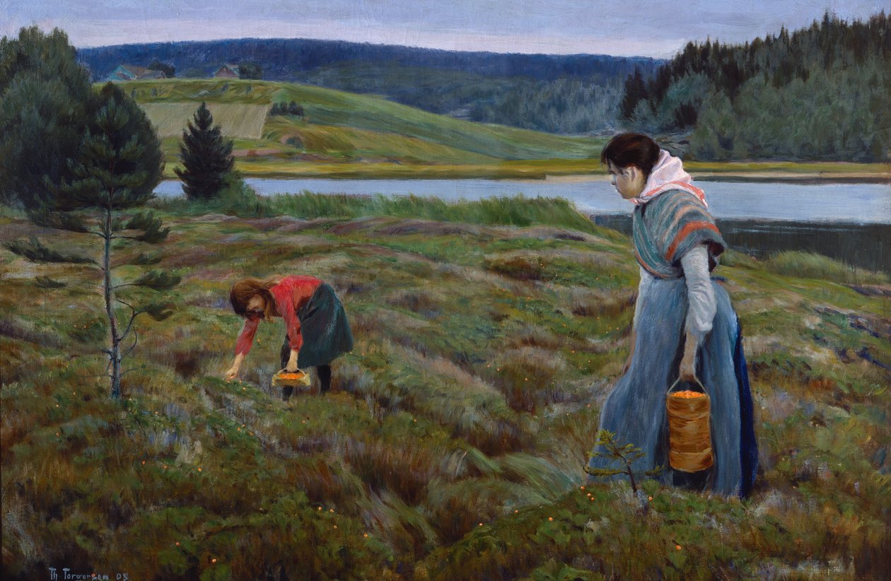 Lakan poiminta tekijältä Thorvald Torgersen