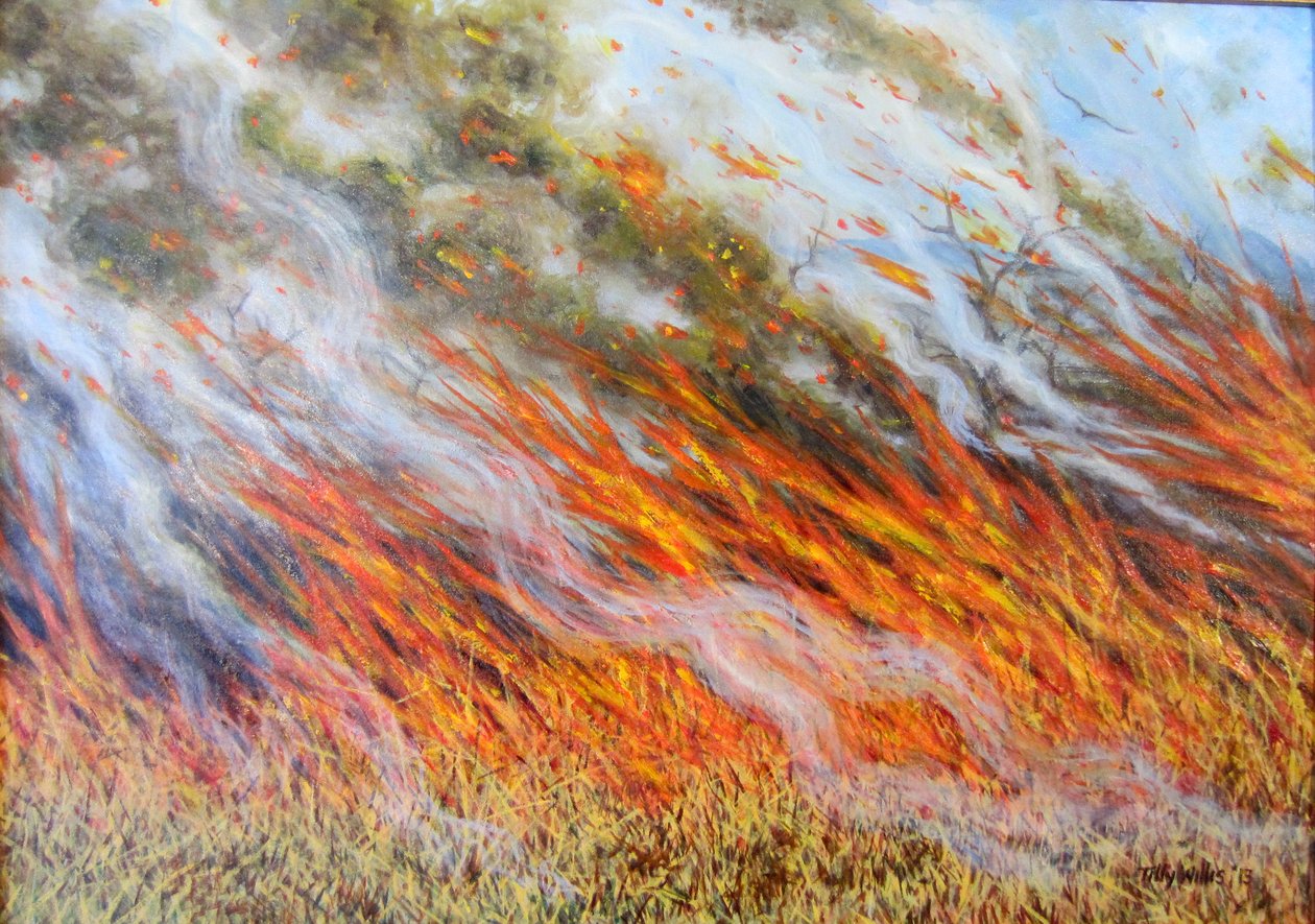 Bushfire Inferno, 2014, tekijältä Tilly Willis