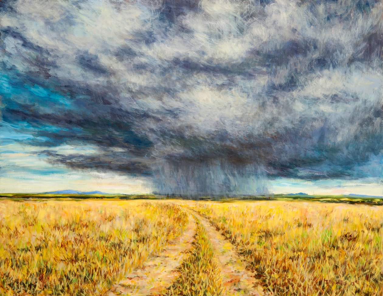 Mara Storm, 2012 tekijältä Tilly Willis