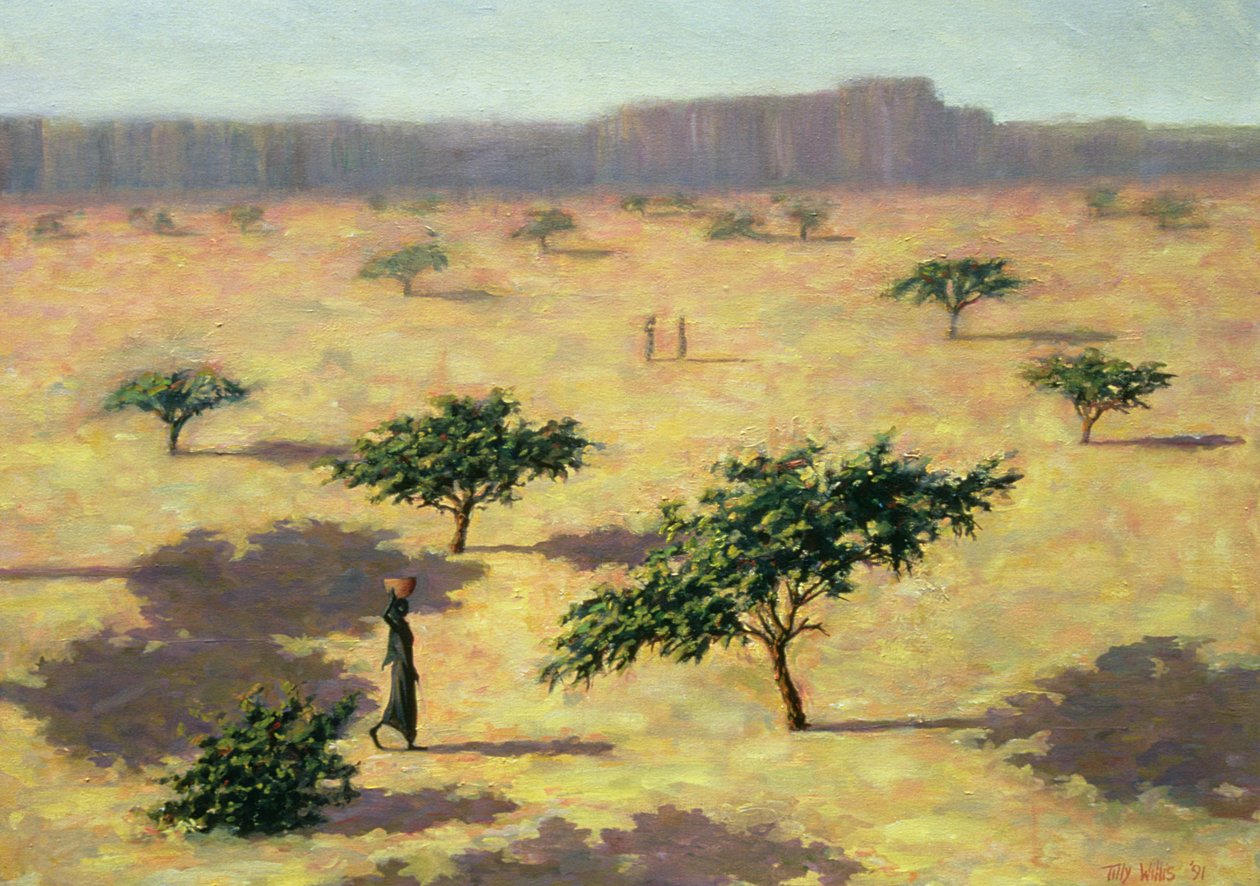 Sahelian maisema, Mali, 1991 tekijältä Tilly Willis