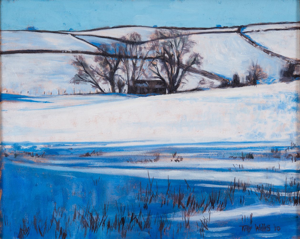 Lumivarjot, 2010 tekijältä Tilly Willis