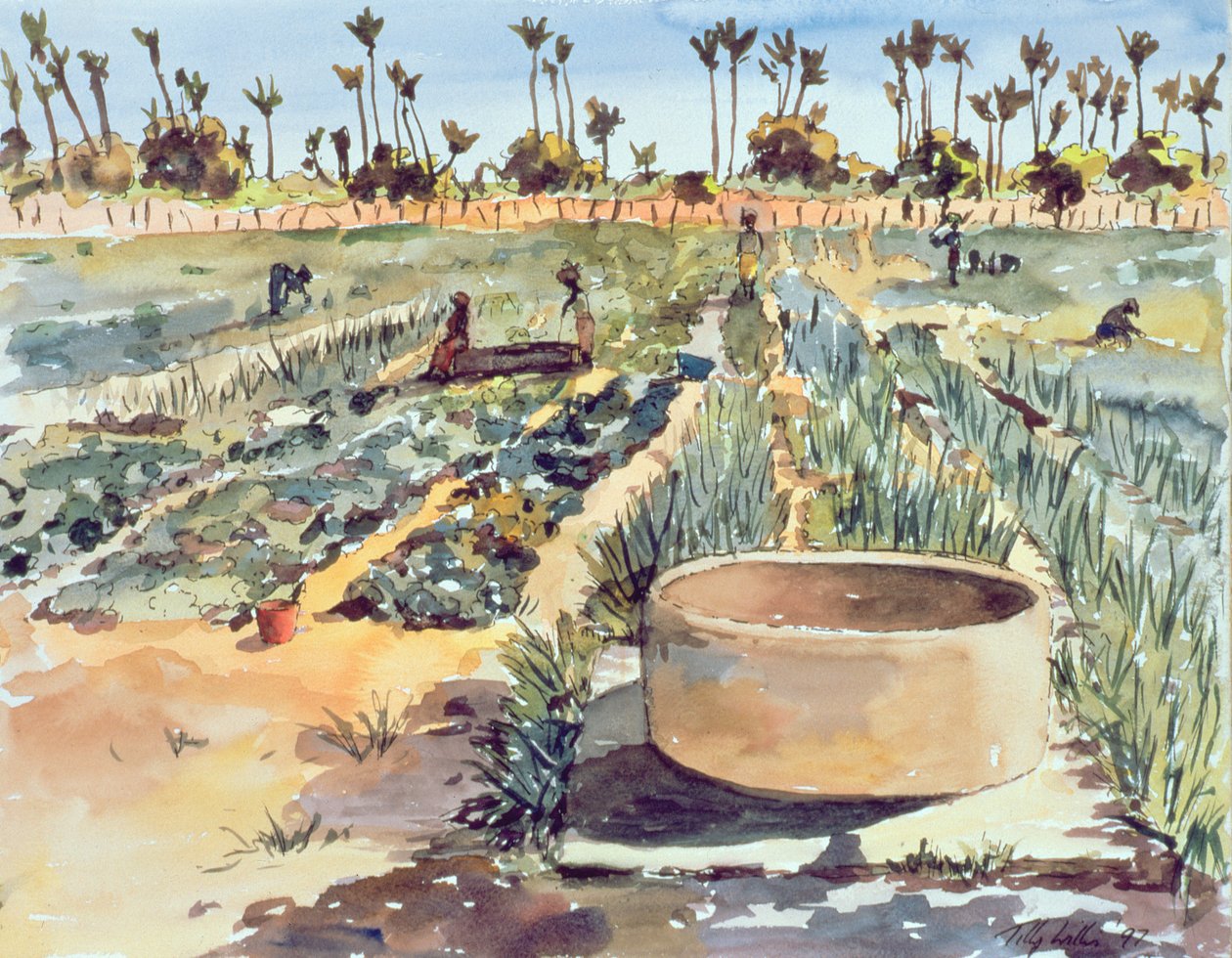 Naisten puutarha, Senegal, Länsi-Afrikka, 1997 tekijältä Tilly Willis