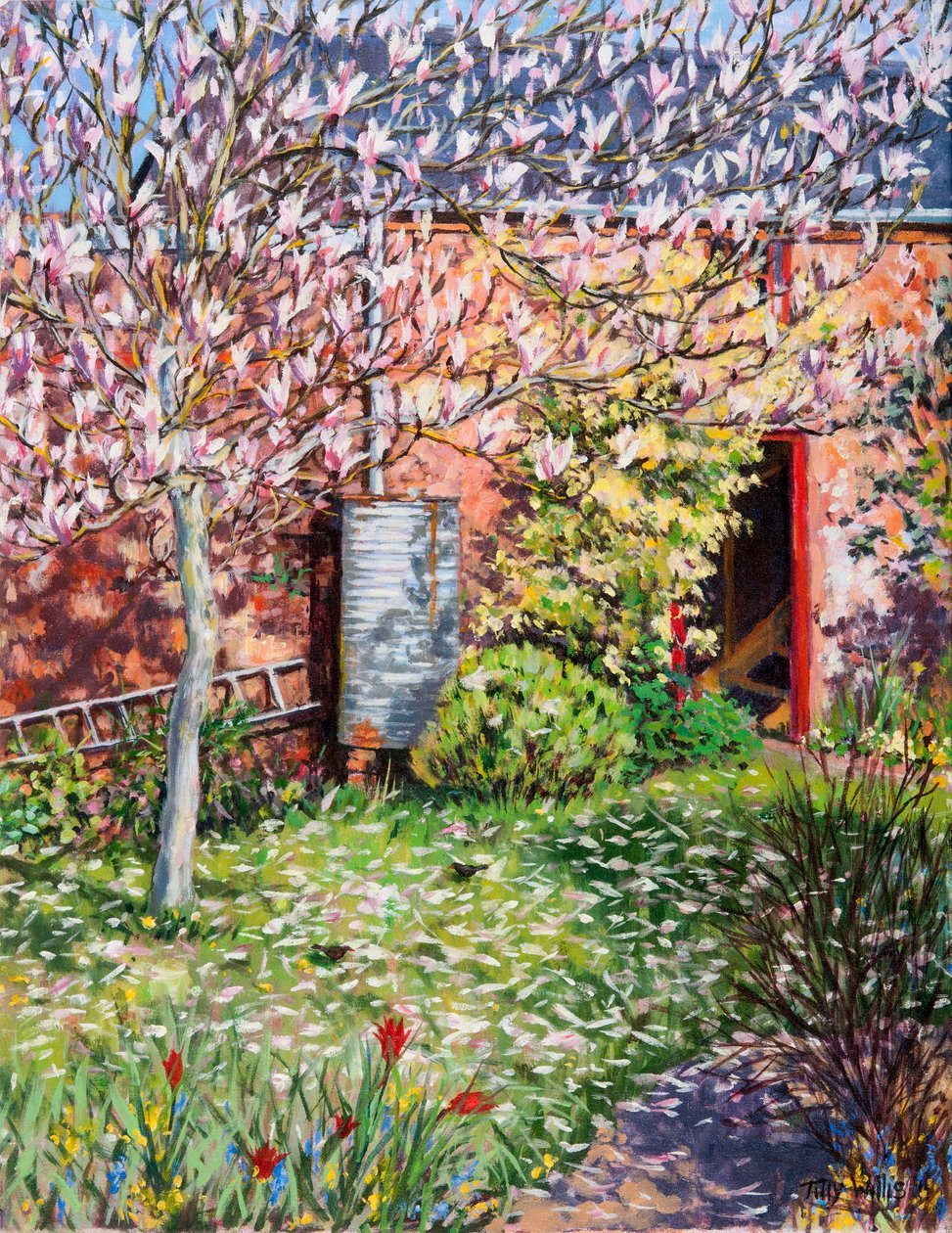 Magnolian alla tekijältä Tilly Willis