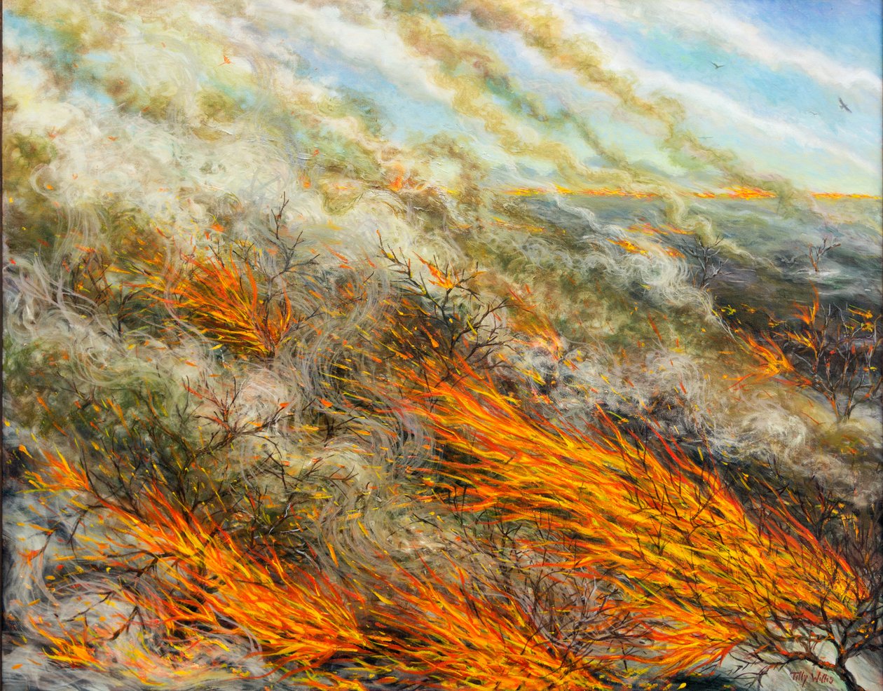 Blaze, 2016, tekijältä Tilly Willis