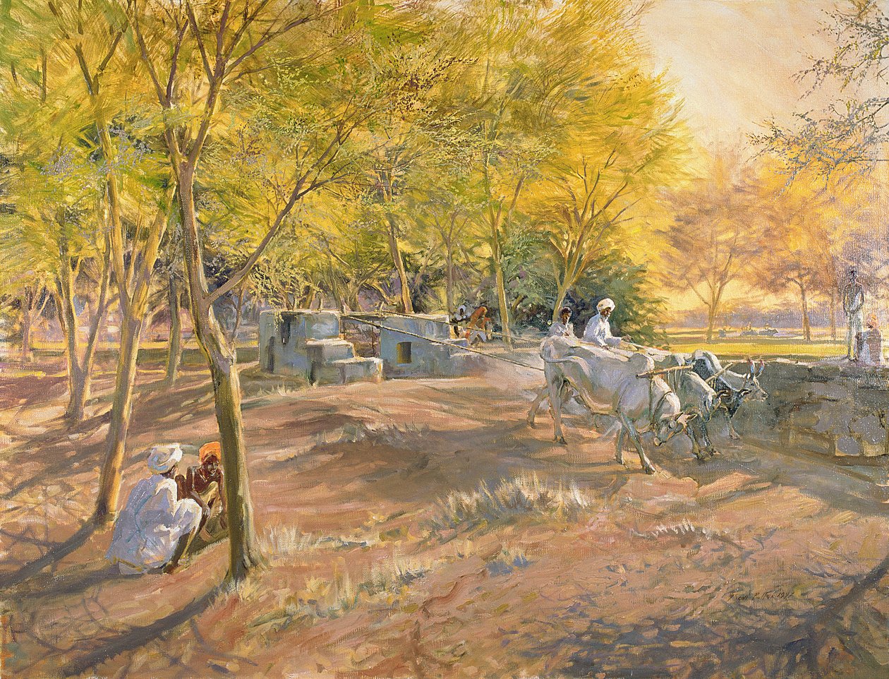 Työskentely Waterille, Rajasthan, 1997 tekijältä Tim Scott Bolton