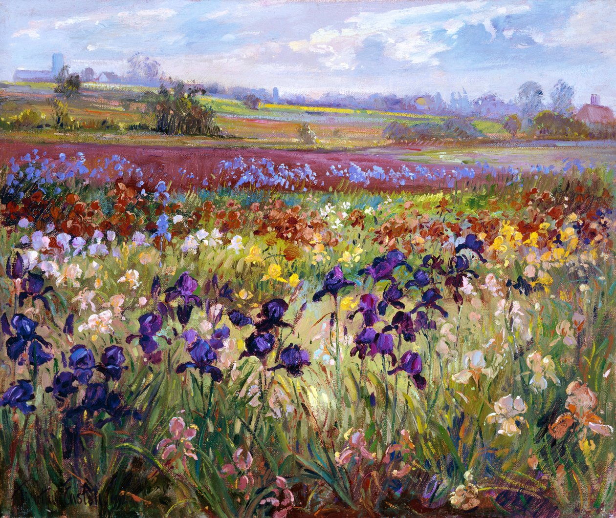 Vastapäätä Burgatea tekijältä Timothy Easton
