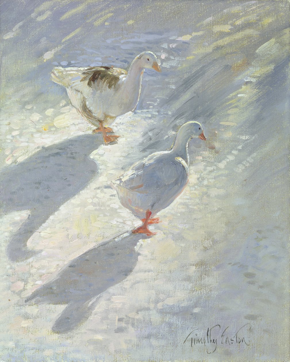 Rinnettä vastaan tekijältä Timothy Easton
