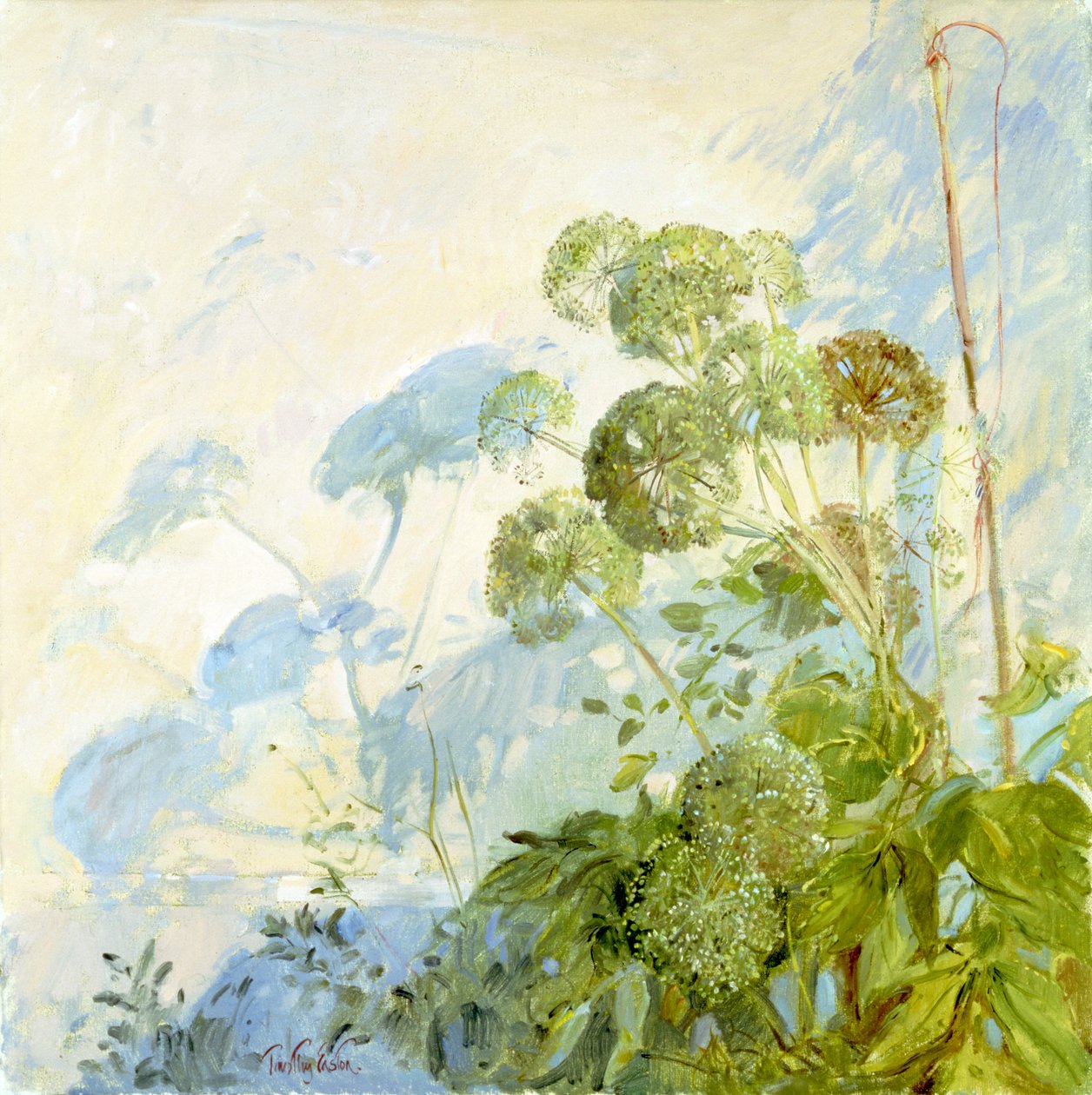 Angelica Shadows tekijältä Timothy Easton