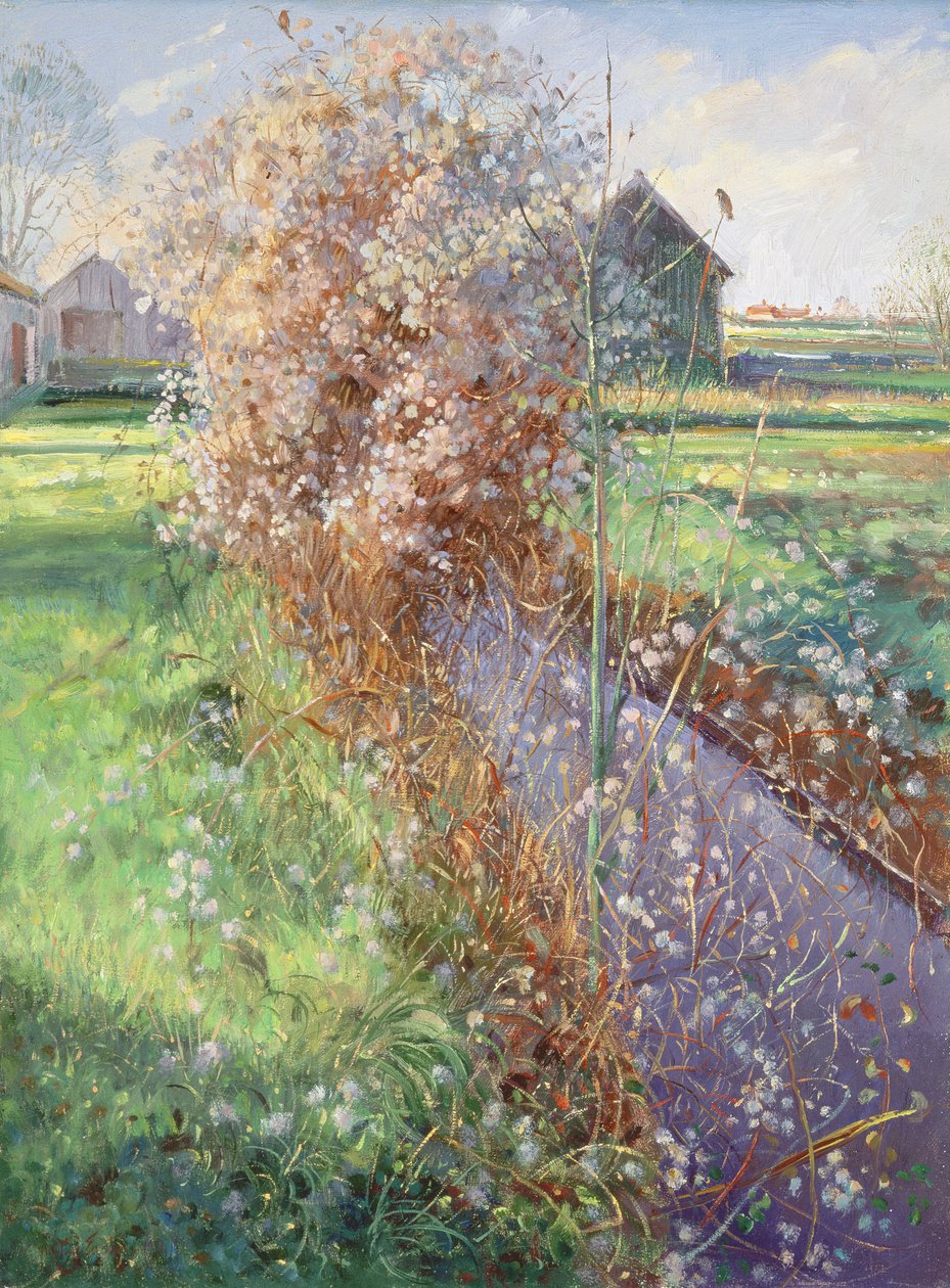 Parrakas pensas tekijältä Timothy Easton