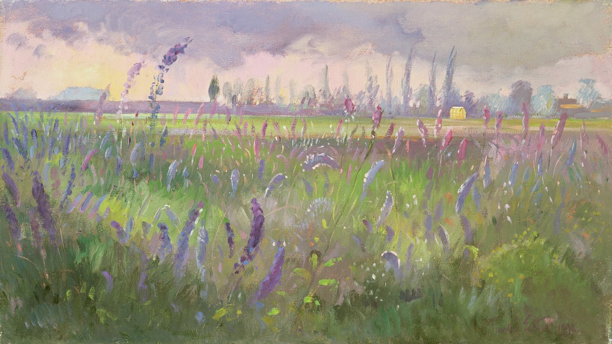 Delphiniums, Myrskyn ohi, 1991 tekijältä Timothy Easton