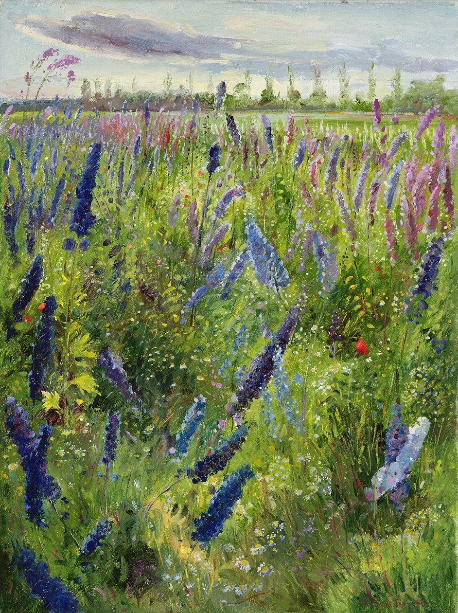 Delphiniums and Emerging Sun, 1991 tekijältä Timothy Easton
