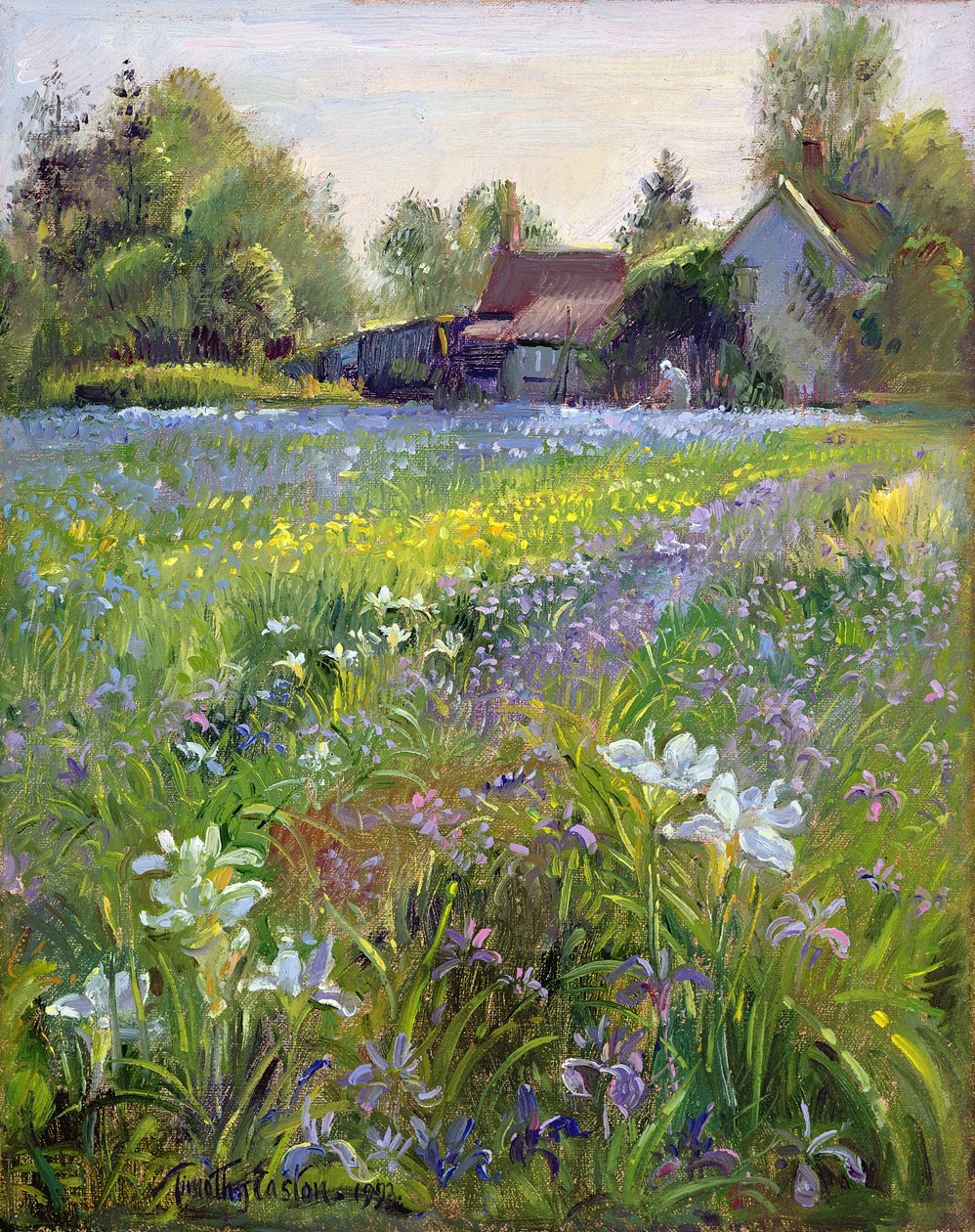 Kääpiöiirikset ja mökki, 1993 tekijältä Timothy Easton