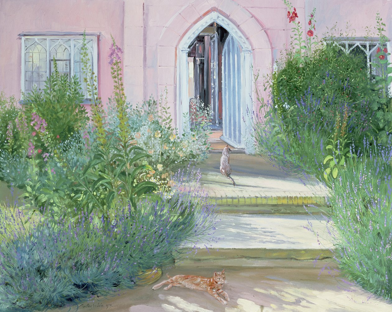 Illan varjot, 1989 tekijältä Timothy Easton
