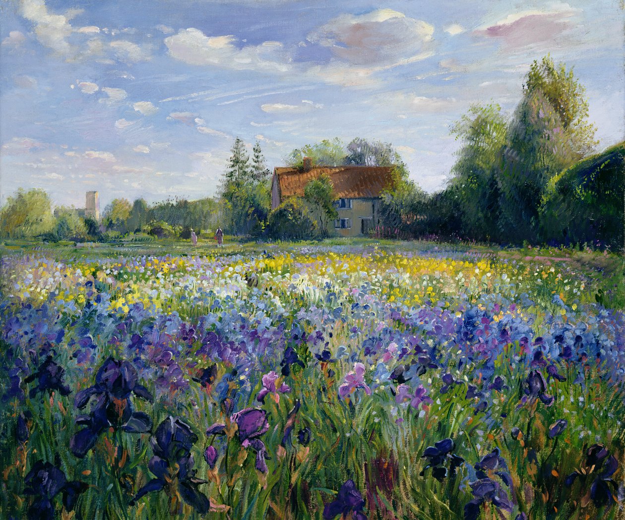Ilta Iris-kentällä tekijältä Timothy Easton