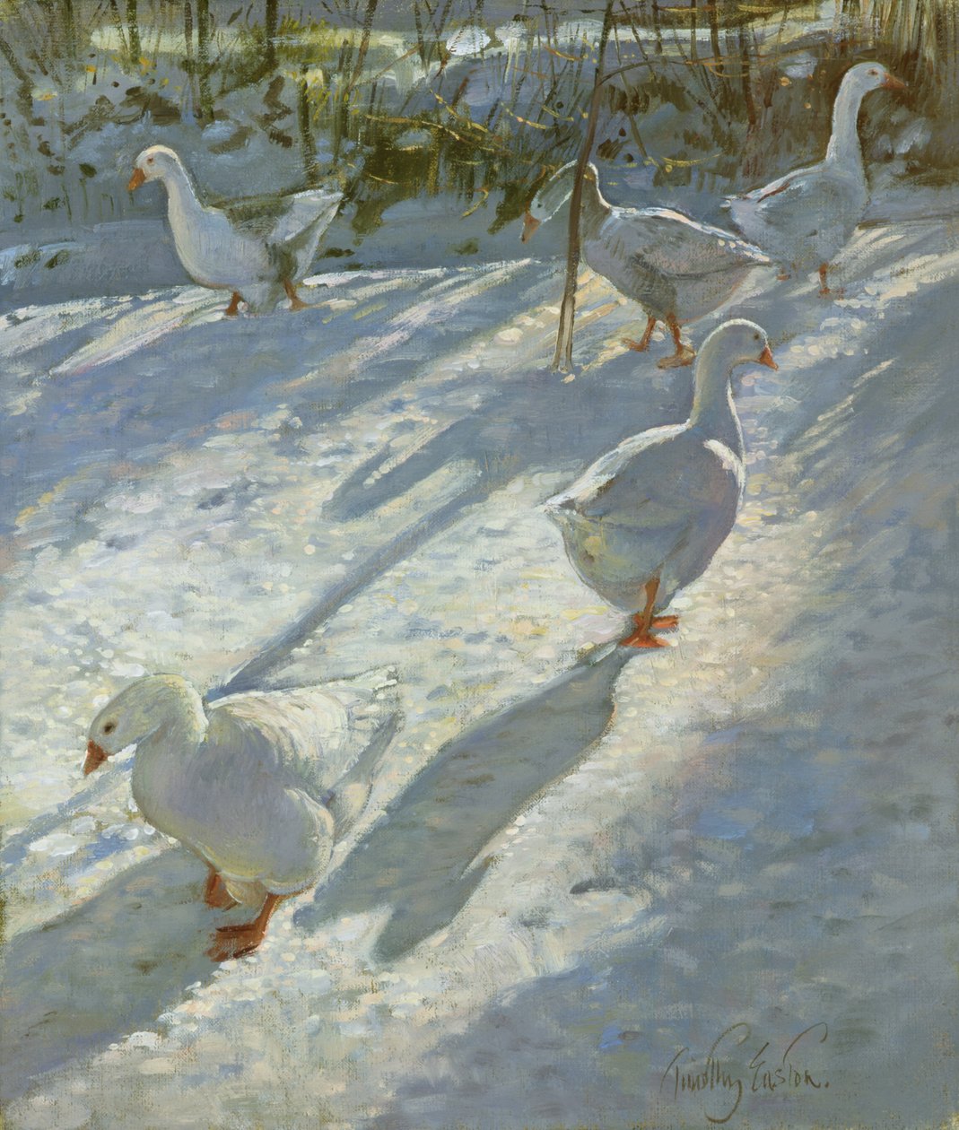 Rinteen tutkiminen tekijältä Timothy Easton