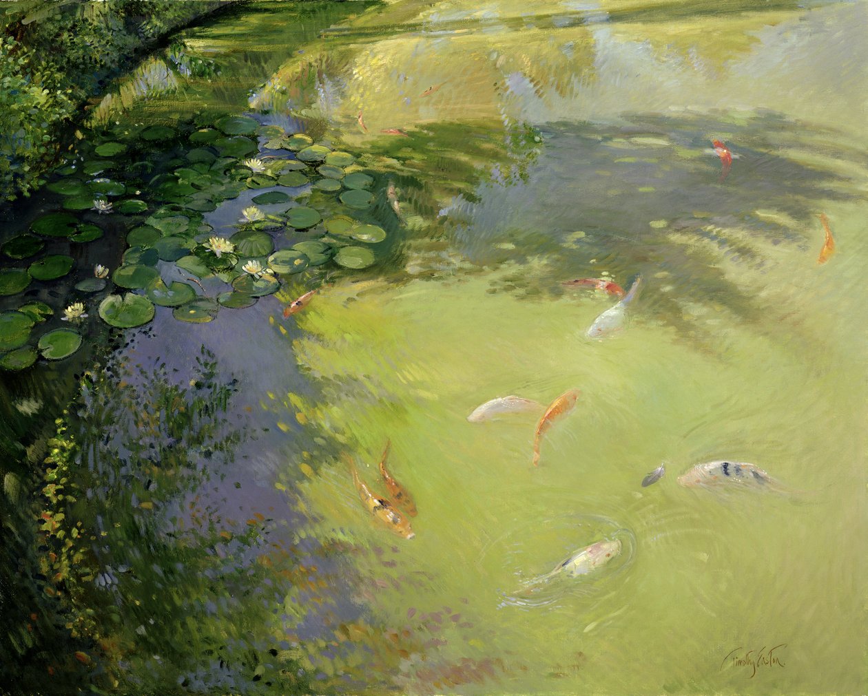 Featherplay tekijältä Timothy Easton