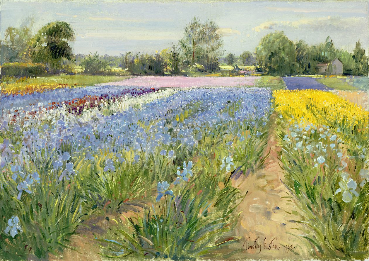 Kukkashakkilauta, 1995 tekijältä Timothy Easton